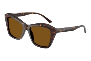 Edestä katsottuna Jimmy Choo JC5076 (500283)