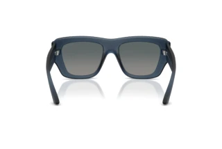 Vedere din spate Jimmy Choo JC6003U (50906I)