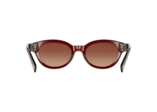 [glasses-back-view] Lacoste L6024SRG N (205)
