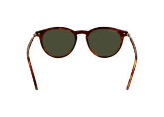 [glasses-back-view] Lacoste L6034S N (218)