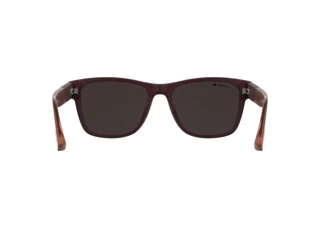 Πίσω όψη Lacoste L6084S (601)