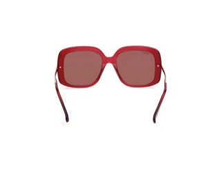 [glasses-back-view] Max Mara MM0195 (69S)