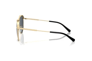 [glasses-side-view] Michael Kors ARCHES (MK1138 - 101487)