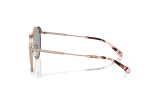 [glasses-side-view] Michael Kors ARCHES (MK1138 - 11084Z)