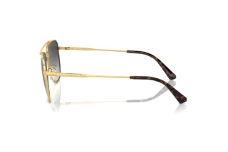 [glasses-side-view] Michael Kors WHISTLER (MK1155 - 18968G)