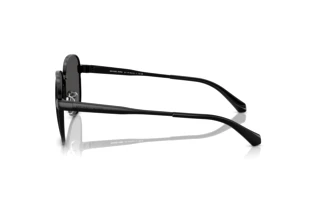 [glasses-side-view] Michael Kors BIARRITZ (MK1160 - 100587)