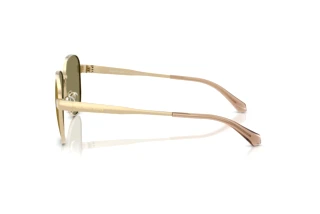 [glasses-side-view] Michael Kors BIARRITZ (MK1160 - 10149A)