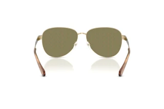 [glasses-back-view] Michael Kors BIARRITZ (MK1160 - 10149A)