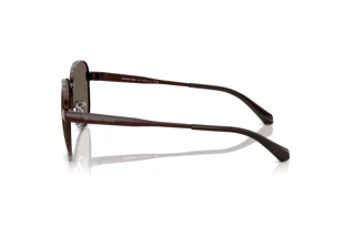 [glasses-side-view] Michael Kors BIARRITZ (MK1160 - 1891/3)
