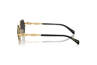 Vista lateral Michael Kors SAINT MARTIN (MK1165 - 189687)