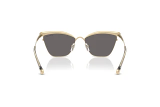 Vedere din spate Michael Kors SCOTTSDALE (MK1174 - 1014Z6)