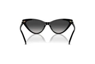 [glasses-back-view] Michael Kors HARBOUR ISLAND (MK2195U - 30058G)
