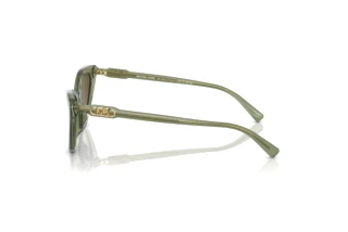 [glasses-side-view] Michael Kors HARBOUR ISLAND (MK2195U - 394413)