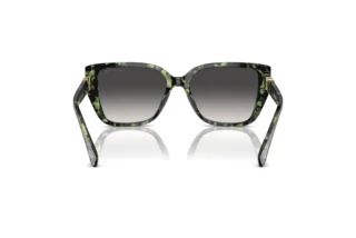 [glasses-back-view] Michael Kors ACADIA (MK2199 - 39538G)