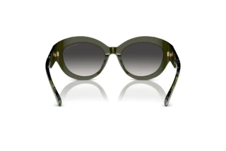 [glasses-back-view] Michael Kors BRUSSELS (MK2204U - 39478G)