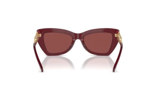 [glasses-back-view] Michael Kors MONTECITO (MK2205 - 394975)