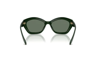 [glasses-back-view] Michael Kors BEL AIR (MK2209U - 40063H)