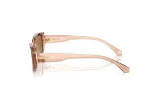 [glasses-side-view] Michael Kors ASHEVILLE (MK2210U - 3999/O)