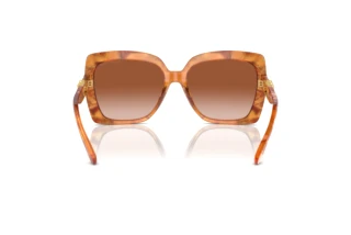 [glasses-back-view] Michael Kors NICE (MK2213 - 399913)