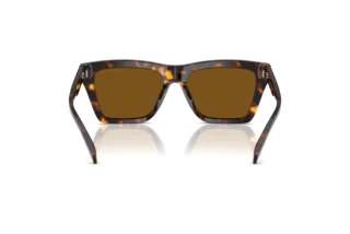 [glasses-back-view] Michael Kors PEBBLE BEACH (MK2225U - 300683)