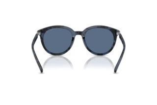 [glasses-back-view] Michael Kors BIG BEND (MK2227 - 333380)