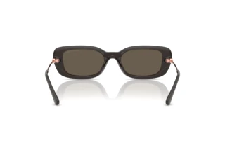 [glasses-back-view] Michael Kors CAPELLA (MK2228D - 4003/3)