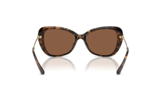 [glasses-back-view] Michael Kors SAINT CROIX (MK2230U - 30063G)