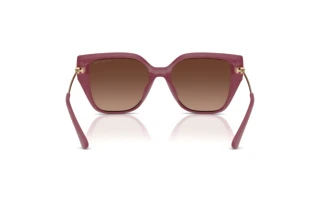 [glasses-back-view] Michael Kors ST. BARTHS (MK2231U - 3256T5)