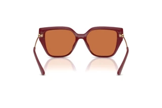 [glasses-back-view] Michael Kors ST. BARTHS (MK2231U - 400473)