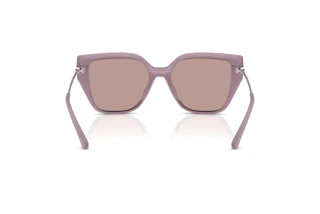 [glasses-back-view] Michael Kors ST. BARTHS (MK2231U - 40057N)