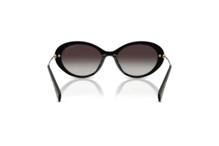 [glasses-back-view] Michael Kors ROCKAWAY (MK2245U - 30058G)