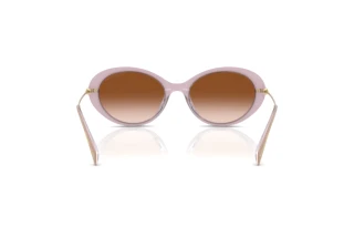 [glasses-back-view] Michael Kors ROCKAWAY (MK2245U - 401513)