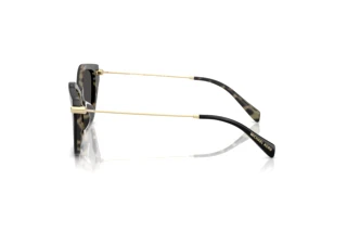 [glasses-side-view] Michael Kors CATSKILLS (MK2246U - 395087)