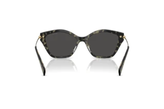 [glasses-back-view] Michael Kors CATSKILLS (MK2246U - 395087)
