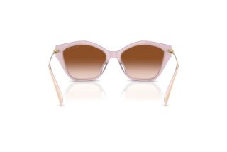 Vy bakifrån Michael Kors CATSKILLS (MK2246U - 401513)