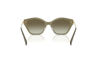 [glasses-back-view] Michael Kors CATSKILLS (MK2246U - 40193M)