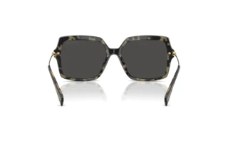 [glasses-back-view] Michael Kors QUOGUE (MK2247U - 395087)
