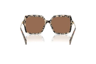 [glasses-back-view] Michael Kors QUOGUE (MK2247U - 395173)