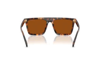 [glasses-back-view] Michael Kors EDGEWATER (MK2249U - 390473)