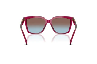 [glasses-back-view] Michael Kors MENAGGIO (MK2256U - 4032H7)