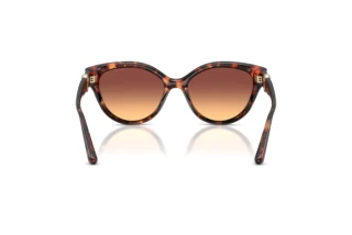 [glasses-back-view] Michael Kors NAGOYA (MK2271U - 403178)