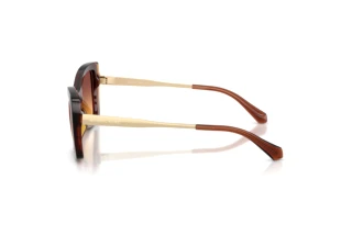 [glasses-side-view] Michael Kors MALAGA (MK2272U - 311378)