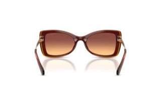 [glasses-back-view] Michael Kors MALAGA (MK2272U - 311378)