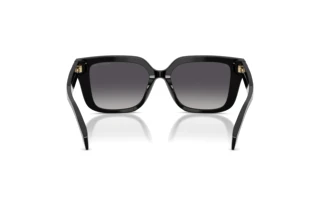 [glasses-back-view] Michael Kors SANTO DOMINGO (MK2275BU - 3005T3)