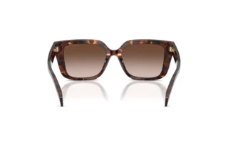 [glasses-back-view] Michael Kors SANTO DOMINGO (MK2275BU - 403113)