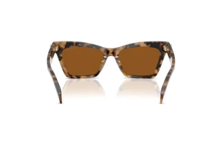 [glasses-back-view] Michael Kors GRAND CAYMAN (MK2276U - 393073)