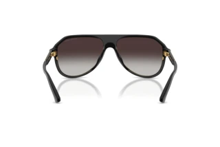 [glasses-back-view] Michael Kors MOLOKAI (MK2281U - 30058G)