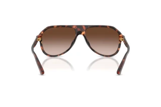 [glasses-back-view] Michael Kors MOLOKAI (MK2281U - 300613)