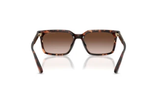 [glasses-back-view] Michael Kors HONOLULU (MK2282U - 300613)