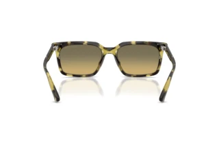 [glasses-back-view] Michael Kors HONOLULU (MK2282U - 4029L0)